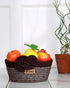 Valencia Polypropylene Beige Multi- Storage Basket- Pano Pano