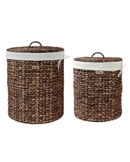 GOA Water Hyacinth Medium Basket with Lid - Pano Pano